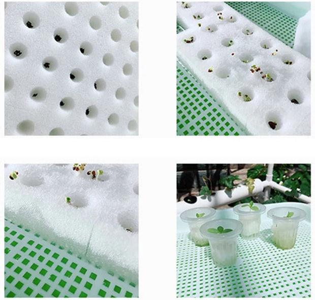 Kweekbak - Hydrocultuur Set - Kweektafel op Poten - Duurzaam - Licht Gewicht - Hydroponic Systeem - 2 Lagen - 72 Gaten - 98x55x72 CM - Wit