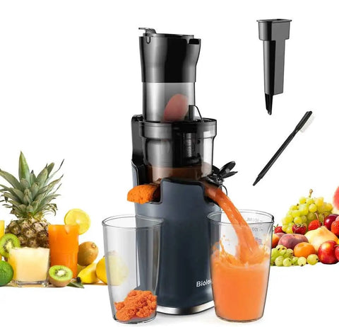 Slowjuicer - Sapcentrifuge voor Groenten & Fruit - Coldpress - Juicer - Anti Drup - Anti Oxidatie - 500 ml