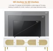 Wit Rattan - TV Cabinet - 180x40x50cm - 4 Rattan-Deuren - Verstelbare Planken - en Kabelbeheer voor Televisies tot 80 inch - Tv-Kast - Lowboards