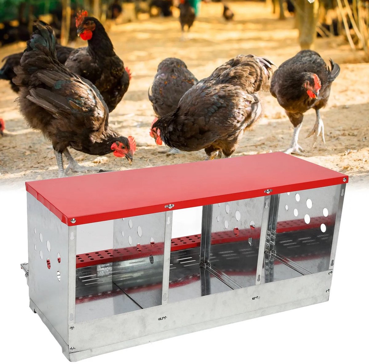Kippennestbox - 3 Plekken - Kippenhok Met Ren - Kippenren - Kippenhokken - Kippenhok Met Buitenverblijf