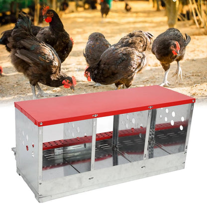 Kippennestbox - 3 Plekken - Kippenhok Met Ren - Kippenren - Kippenhokken - Kippenhok Met Buitenverblijf