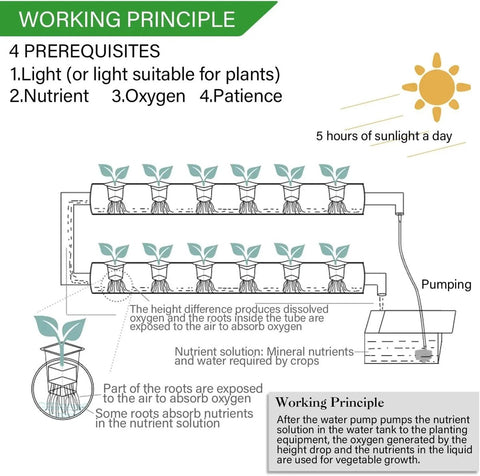 Kweektafel -108 gaten - Kweekbak - Moestuinbak op Poten - kweektafels - Hydrocultuursysteem - Moestuintafel - Optimaliseert Water- en Voedingsbeheer - Gebruiksgemak - Wit