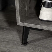 Kapstok - Garderobe rek - Kledingrek - 3 haken - Schoenen opslag - Plank - 2 deurtjes - Hout - Grijs - 60x34x170cm