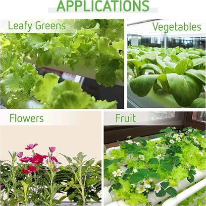 Kweektafel -108 gaten - Kweekbak - Moestuinbak op Poten - kweektafels - Hydrocultuursysteem - Moestuintafel - Optimaliseert Water- en Voedingsbeheer - Gebruiksgemak - Wit