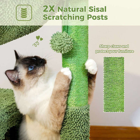 Middelgroot Cactus Krabpaal - voor Katten - Met Zachte Kattenmand/Hangmat - Kattenspeelgoed - Krabpaal - Geschikt voor Kittens