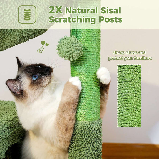 Middelgroot Cactus Krabpaal - voor Katten - Met Zachte Kattenmand/Hangmat - Kattenspeelgoed - Krabpaal - Geschikt voor Kittens