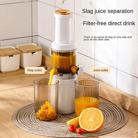 Sapcentrifuge - Elektrisch - Blender - Groente en Fruit - 2 in 1 - Sap Juicer - Ijs blender - WIT