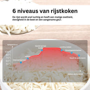 Slow Cooker with Timer - Ceramic Inner Pot - Hotpot - Rice Cooker with Steam and Keep Warm Function - Multicooker with Non-Stick Inner Pot - Brushed Black