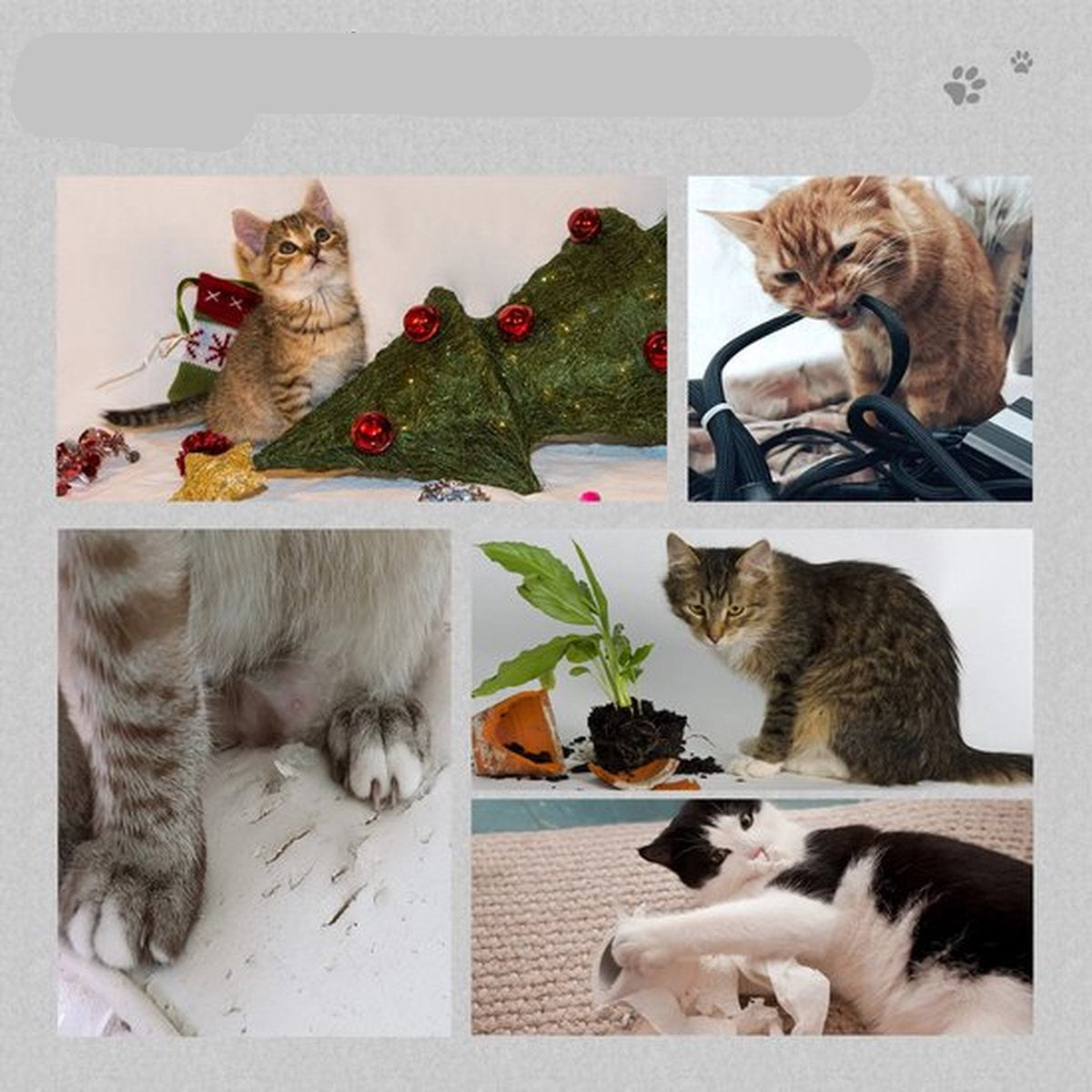 Krabpaal Kat - 120cm - Katten - Krabpaal Voor Katten - Krabpaal voor Grote Katten - Hangmat