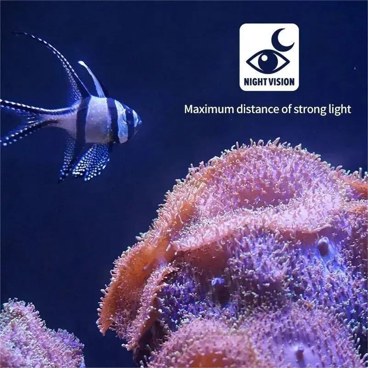 Fish Finder - Fish Finder - LCD 4.3 Inch Display - Underwater - 220° Fishing Camera - 1080P - 9 Hours Endurance - Night Vision - 30m