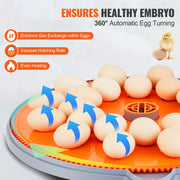 Incubator - Chickens - Ducks - With Temperature and Humidity Control - For 48 Pieces - 360° Air Circulation Design
