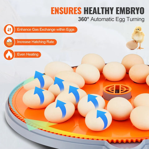 Incubator - Chickens - Ducks - With Temperature and Humidity Control - For 48 Pieces - 360° Air Circulation Design