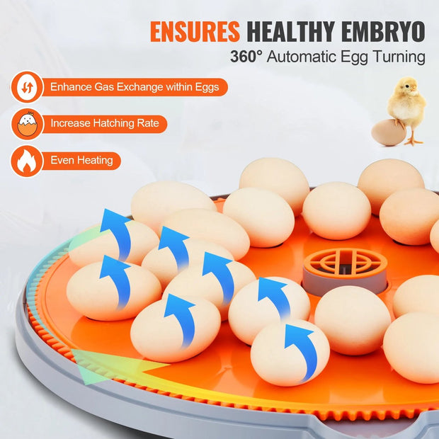 Incubator - Chickens - Ducks - With Temperature and Humidity Control - For 48 Pieces - 360° Air Circulation Design
