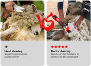 Clipper - Professionele Clipper - Met Koffer - Volledige Set - Grote Trimmer - Schapen Trimmer - Scheermachine - Scherende Machine voor Wol - 6 Snelheidsstanden - 900W - Rood