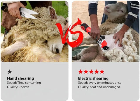 Clipper - Professional Clipper - With Case - Full Set - Large Trimmer - Sheep Trimmer - Shearing Machine - Shearing Machine for Wool - 6 Speed ​​Settings - 900W - Red