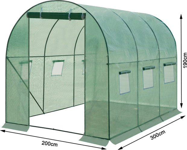 Serre van Folie - Kweekkas - Broeikas - 300x200x190 cm - Voor Alle Seizoenen - Met Deur en 6 Ramen - Groen