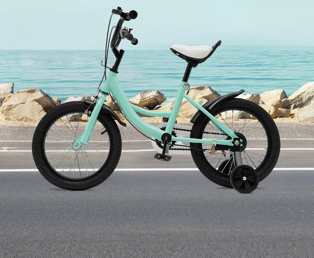 Kinderfiets - 16 Inch - Spelen - 5 tot 8 Jaar - Outdoor - Groen met Zwarte Accenten