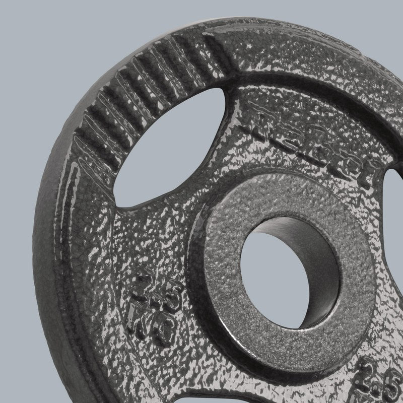 Gietijzeren Gewichtenschijven – Halterschijven – Fitnessgewichten – Krachttrainingsschijven – Dumbbell Schijven – 4x 2,5 kg – 51 mm Gat Met Handgrepen