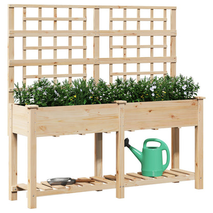 Plantenbak – Grote Bloembak – Houten Plantenbak – Buitenbak – Binnenbak – Met Klimrek – 161x43x152 Cm
