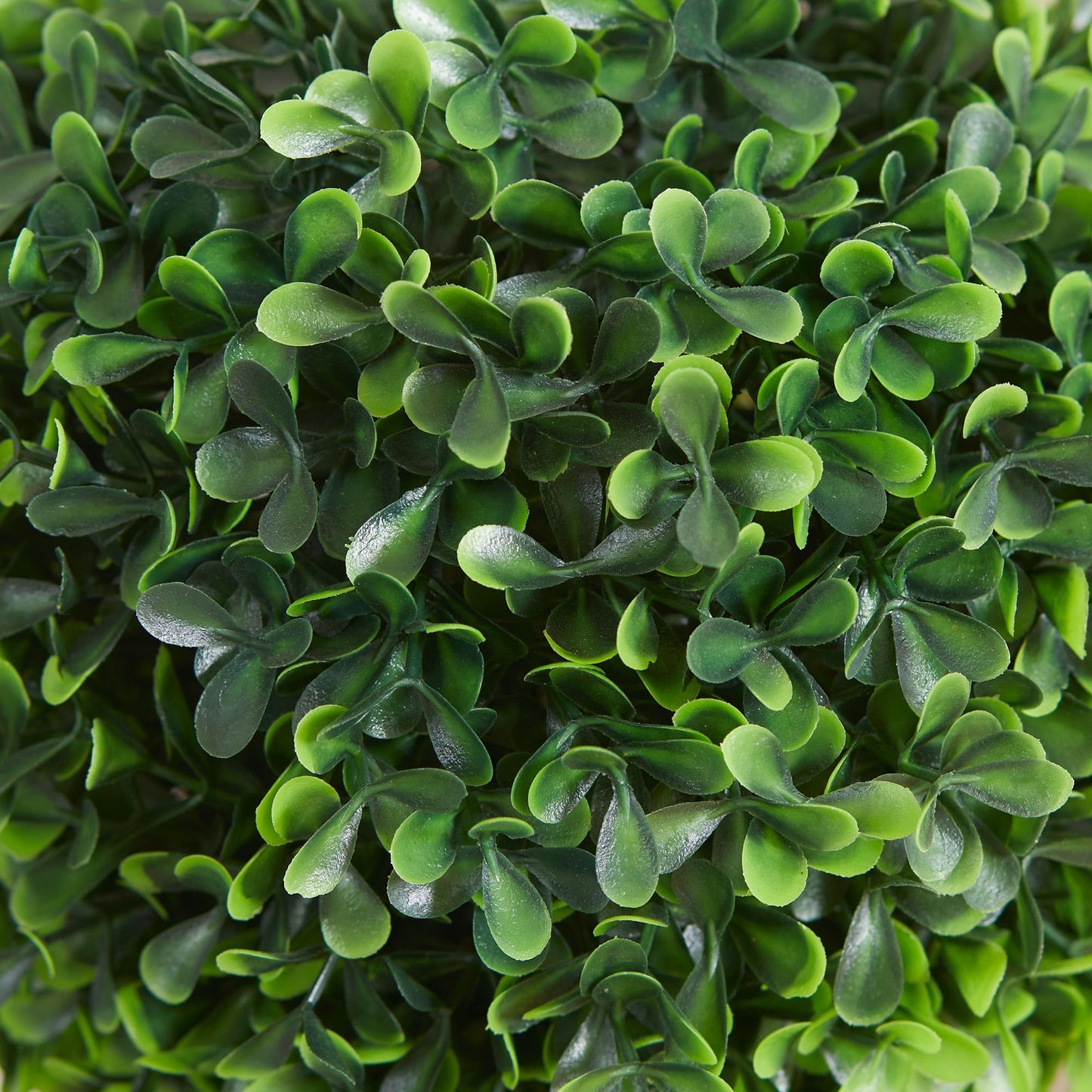 Kunststof Buxusbomen – Kunstbuxus – Nepbuxus – Sierstruik – Kunstplant – Groen – Onderhoudsvrij – Weerbestendig – 60 cm – Set van 2