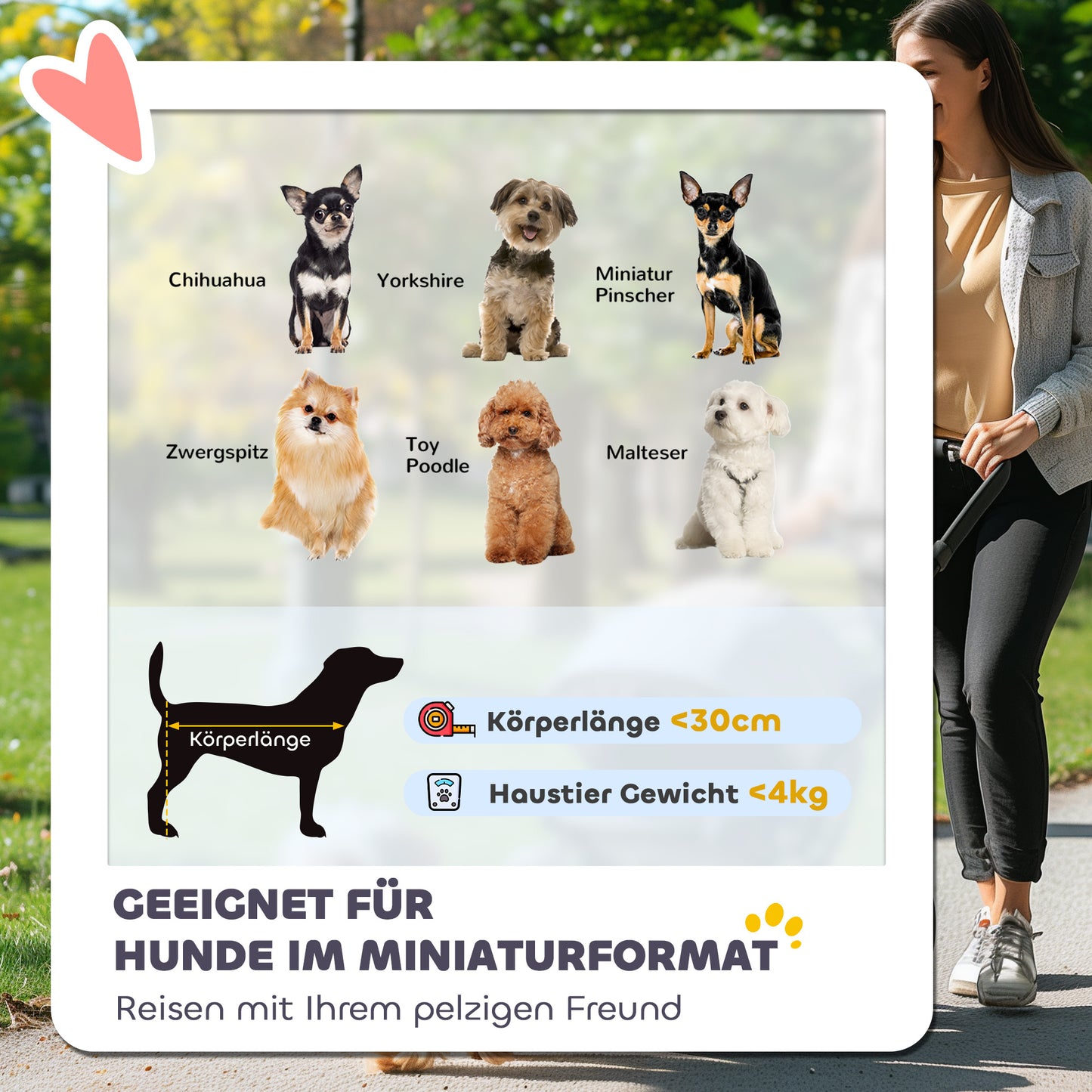 Huisdierbuggy – Dierenwagen – Hondenwagen – Kattenbuggy – Buggy Voor Huisdieren – Lichtgrijs – Lichtgewicht & Inklapbaar – Veiligheidsharnassen Met Gaasramen