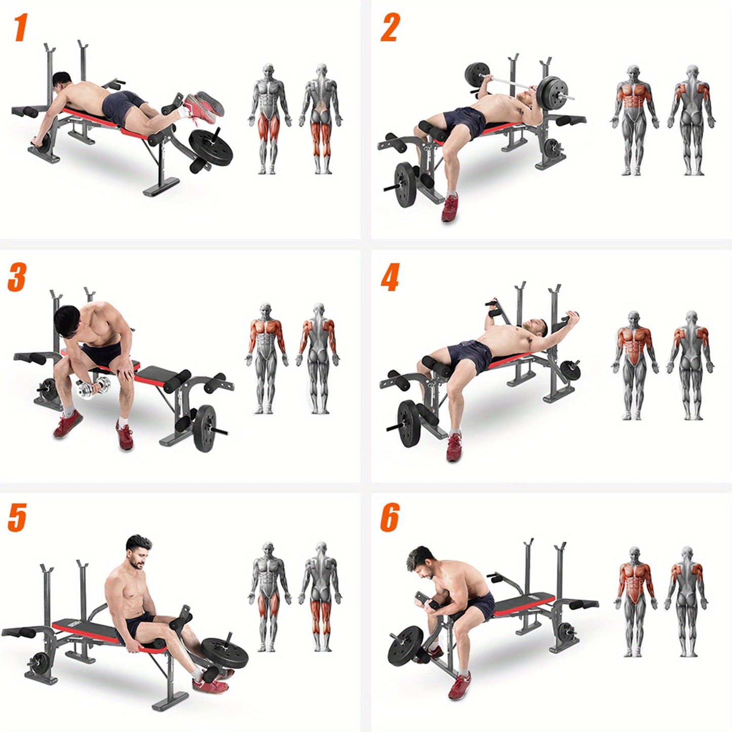 Alles-In-Één Bench Press Set – Krachttrainingsbank – Preacher Curl Bank – Leg Developer – IJzeren Constructie – Compact Formaat – Ergonomisch Design