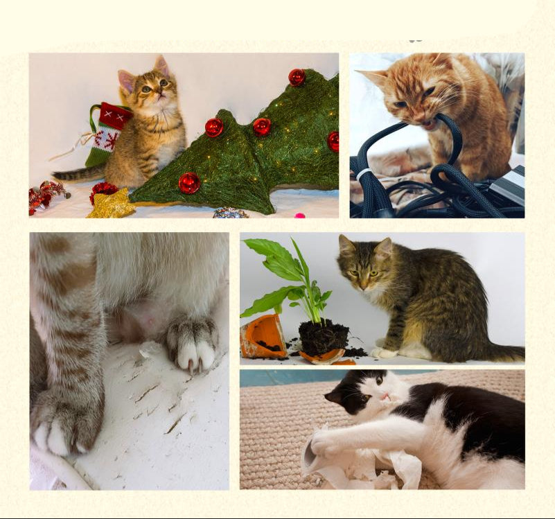Krabpaal – Krabmeubel – Kattenboom – Kattenhuis – Kattentoren – XXL 153 cm Hoog – Stevig Anti-Kantel Ontwerp