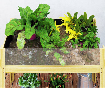 Plantenbak – Bloembak – Moestuinbak – Kruidenbak – Verhoogde Houten Plantenbak Op Poten – Natuurlijk Hout – Acryl Zijpanelen – Efficiënt Afwateringssysteem