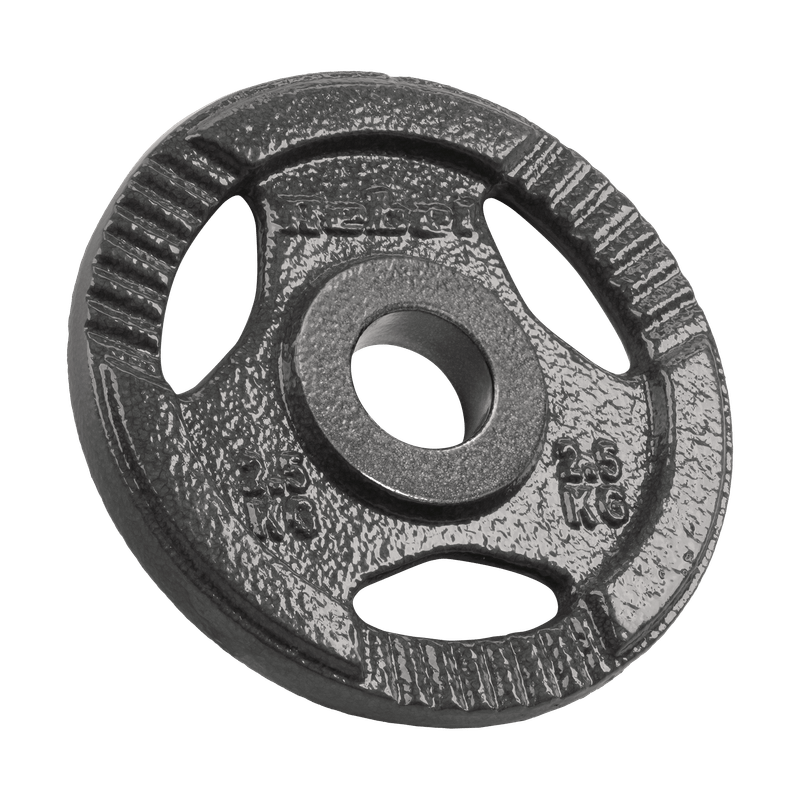 Gietijzeren Gewichtenschijven – Halterschijven – Fitnessgewichten – Krachttrainingsschijven – Dumbbell Schijven – 4x 2,5 kg – 51 mm Gat Met Handgrepen