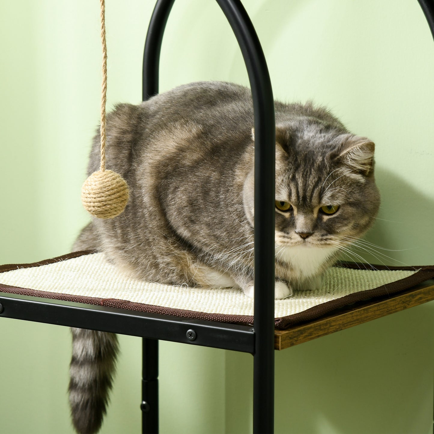 Krabpaal – Kattenboom – Krabmeubel – Kattenhuis – Kattentoren – 4 Verdiepingen – Speelbal – Valbeveiliging – 80x40x118,5 cm – Bruin/Wit
