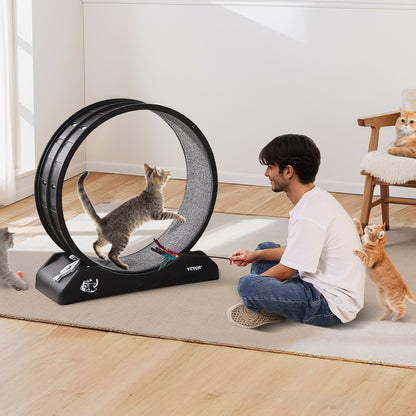 Kattenrad – Kattenspeelwiel – Kattenloopwiel – Kattenrenwiel – Katten fitness wiel – 74 cm groot – Geluidloos & Duurzaam kunststof