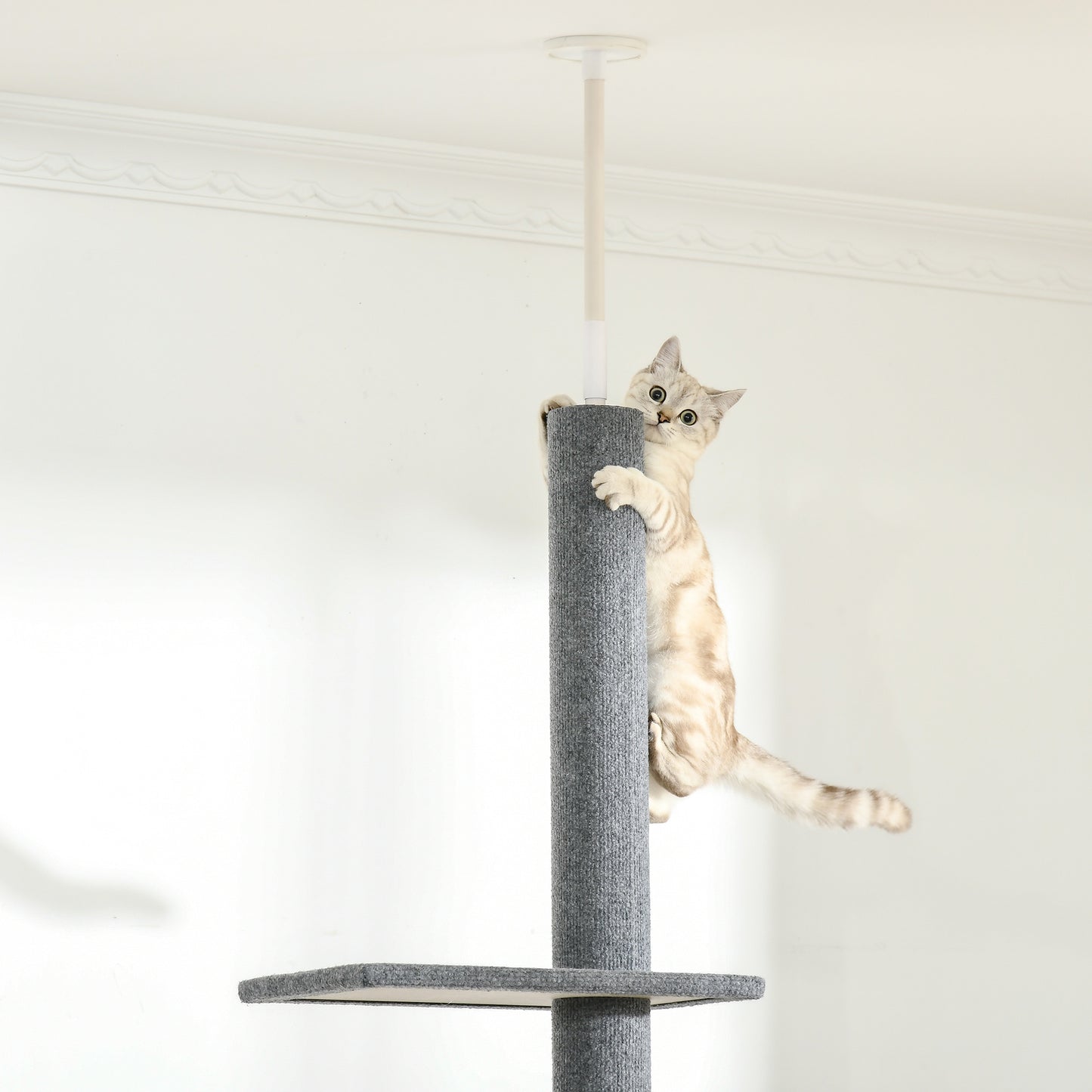 Krabpaal Plafondhoog – Kattenboom – Klimpaal – Krabmeubel – Speelpaal Kat – Verstelbare Hoogte 228-260 cm – 4 Platforms Met Pluche Bekleding