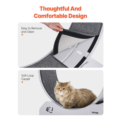 Kattenloopwiel – Kattenrad – Kattenrennrad – Kattenrennen – Kattenfitness – Groot 80 cm Diameter – Stil En Stabiel Ontwerp