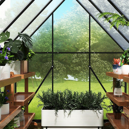 Kas – Serre – Tuinkas – Groentekas – Plantenkas – Aluminium Frame – 6,12 m² met 4 mm Polycarbonaat Panels – UV Bestendig – 340x180x195 cm