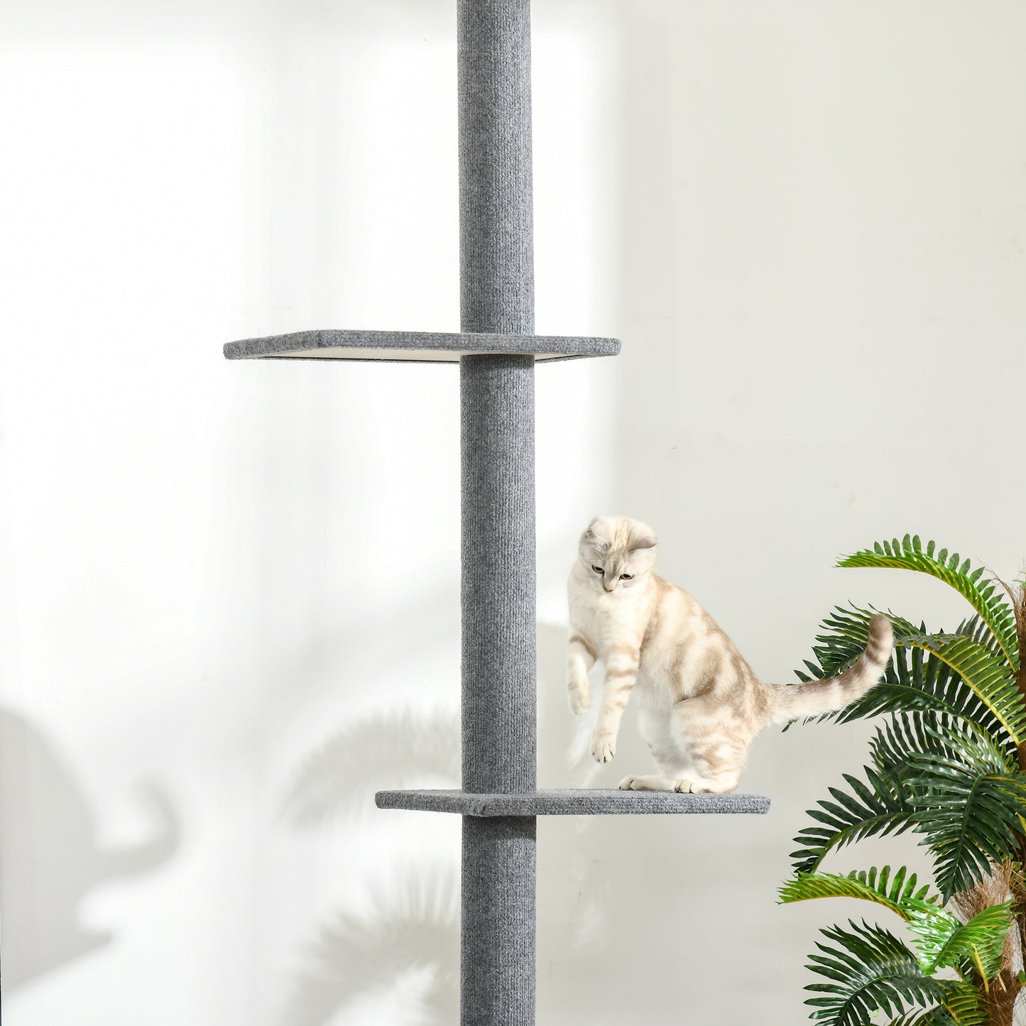 Krabpaal Plafondhoog – Kattenboom – Klimpaal – Krabmeubel – Speelpaal Kat – Verstelbare Hoogte 228-260 cm – 4 Platforms Met Pluche Bekleding