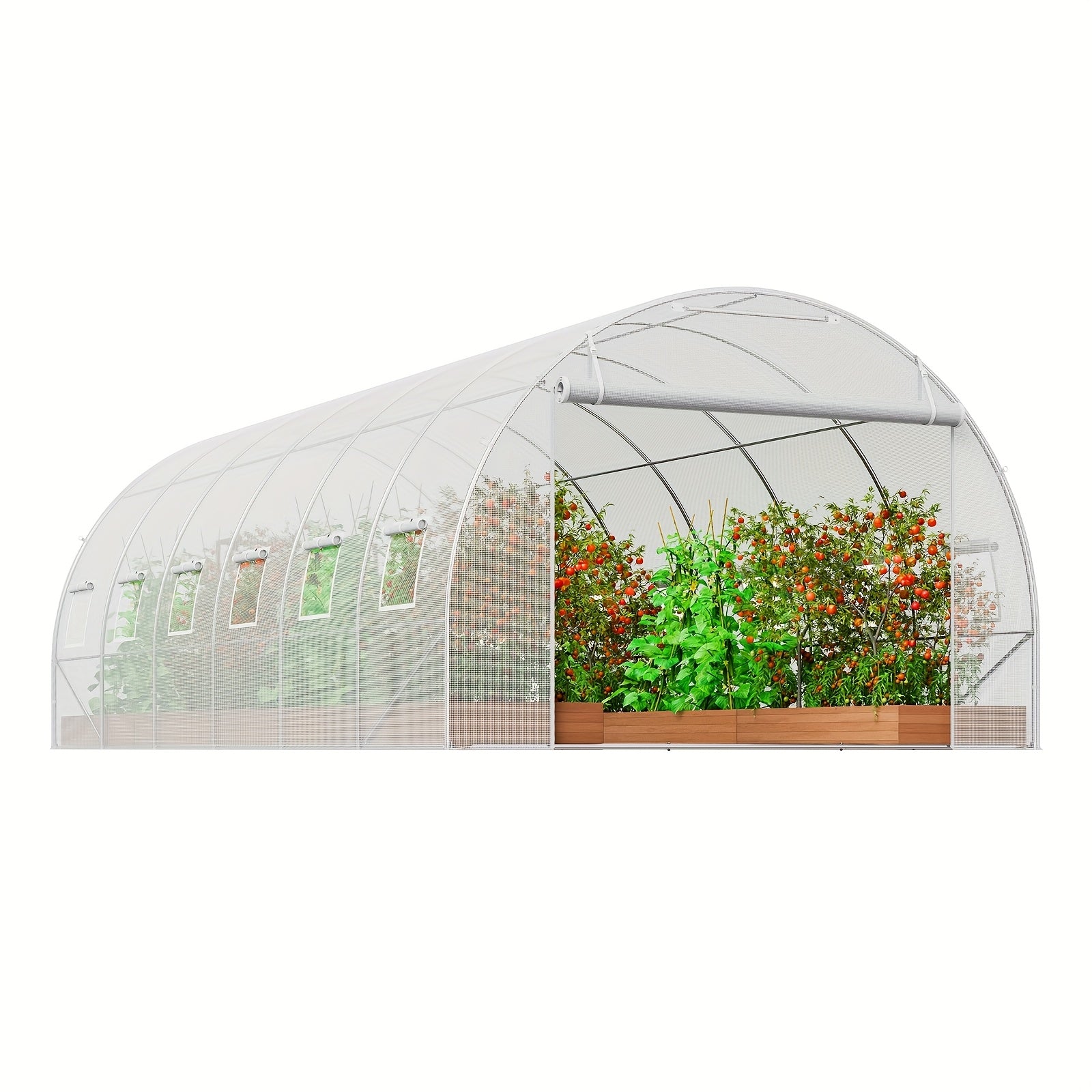 Walk-In Tunnel Kas – Tunnels Kas – Tuinkas – Kweekkas – Hoog Entree – Gegalvaniseerd Frame – UV-Bestendige PE-Folie - Wit - QUORE