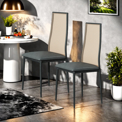 Rieten Eetkamerstoelen – Rotan Stoelen – Tuinstoelen – Keukenstoelen – Eettafelstoelen – Set Van 2 – Weerbestendig Riet – Met Metalen Poten