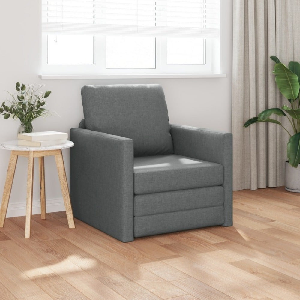 Slaapbank – Bedbank – Slaapbankje – Zitbank – 2-in-1 Meubel – Antraciet – Ruimtebesparend – Comfortabele Zachte Kussens
