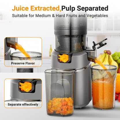 Slowjuicer – Sapcentrifuge – Juicer – Sapextractor – Slowmixer – Extra Brede 135mm Opening – Driedubbel Filtratiesysteem – 2L Grote Capaciteit – 250W Krachtige Motor – Silvery Variant