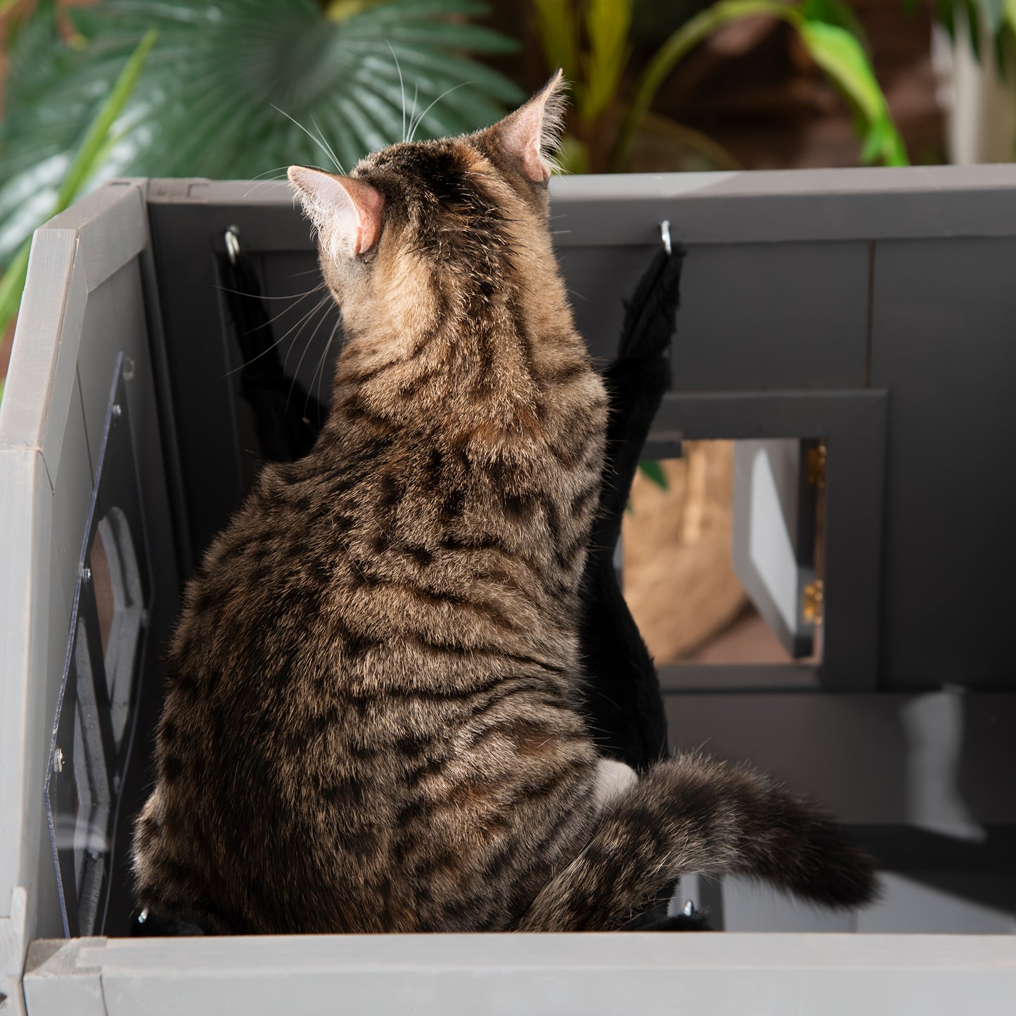 Kattenhuis – Kattenmand – Kattenhok – Kattenkast – Kattenbed – Duurzaam Bamboe – Compact Ontwerp 59x55x109 cm – Modern Grijs – Multifunctioneel Indoor Kattenmeubel