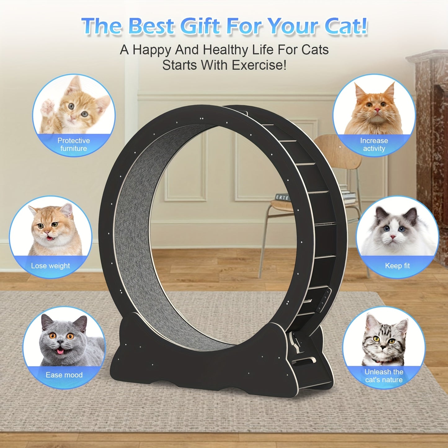 Large Cat Exercise Wheel 101.6 cm - Black Solid Wood Cat Wheel Trainer for Indoor Cats with Locking Safety Cat Treadmill with Minimal Gap Design, Cat Exercise Wheel for Indoor Cats, Cat Wheel Exerciser, Extra Large Cat Exerci