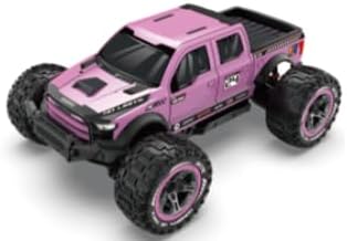 DEERC 1:10 Snelle afstandsbedieningsauto voor volwassenen, 4x4 Hobby RC Monstertruck, 48+ km/u, All Terrain High Speed RC Truck Crawler in roze met 2 accu's, speelgoedvoertuig voor kinderen