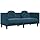 vidaXL Upholstered Sofa with Cushion 2 Seater Lounge Sofa for Living Room Sofa Living Room Sofa Modern Blue Velvet