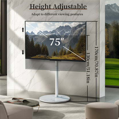 TV Standaard – TV Statief – Vloerstandaard – TV Voet – Monitorstandaard – Verstelbare Hoogte 130-170 cm – Sintered Stone Basis & SPCC Staal