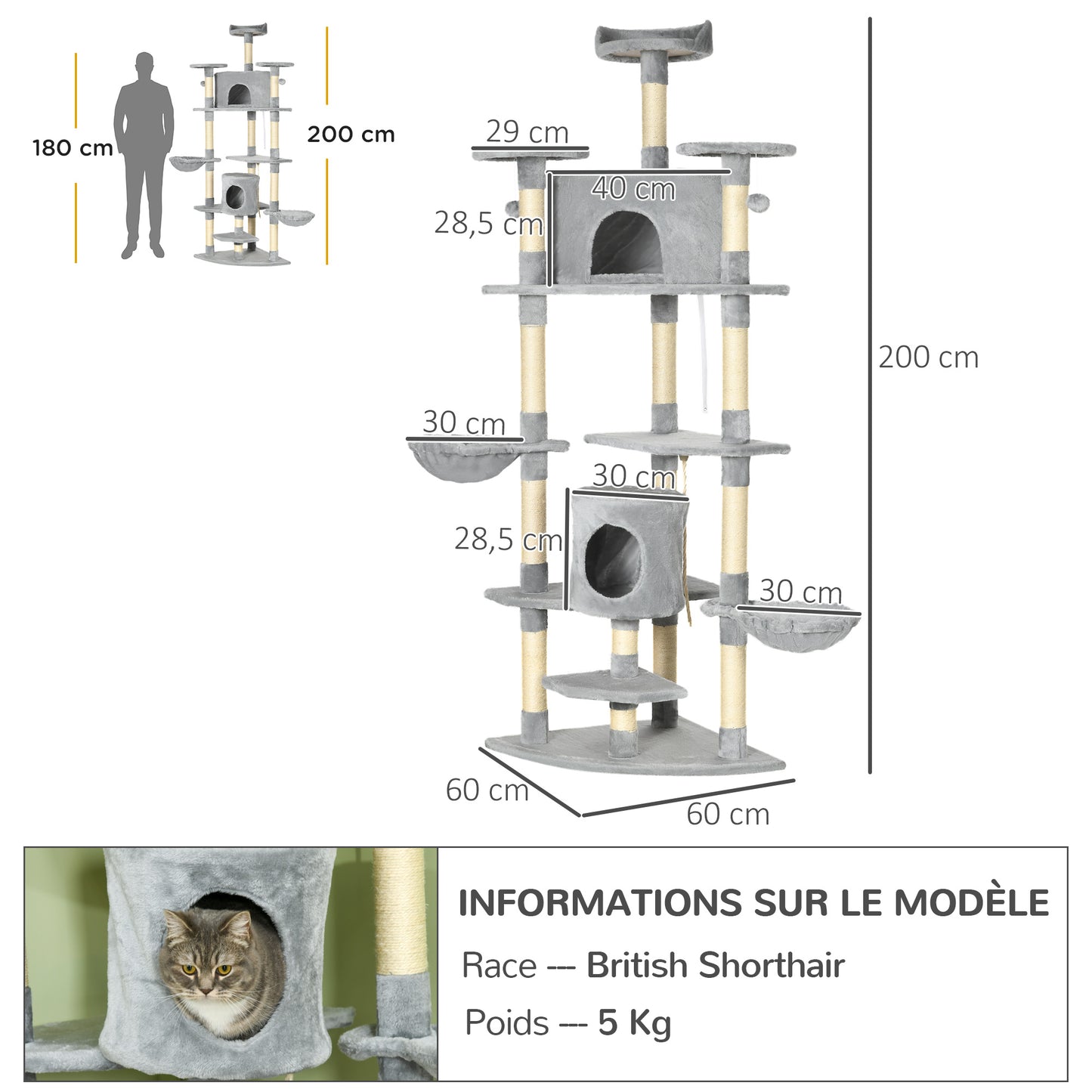 Kattenklimboom – Kattenboom – Klimpaal – Krabpaal – Speelboom – Extra Hoog 200 cm – 6 Platforms & 2 Hangmatten – Duurzaam Houtvezelplaat & Pluche