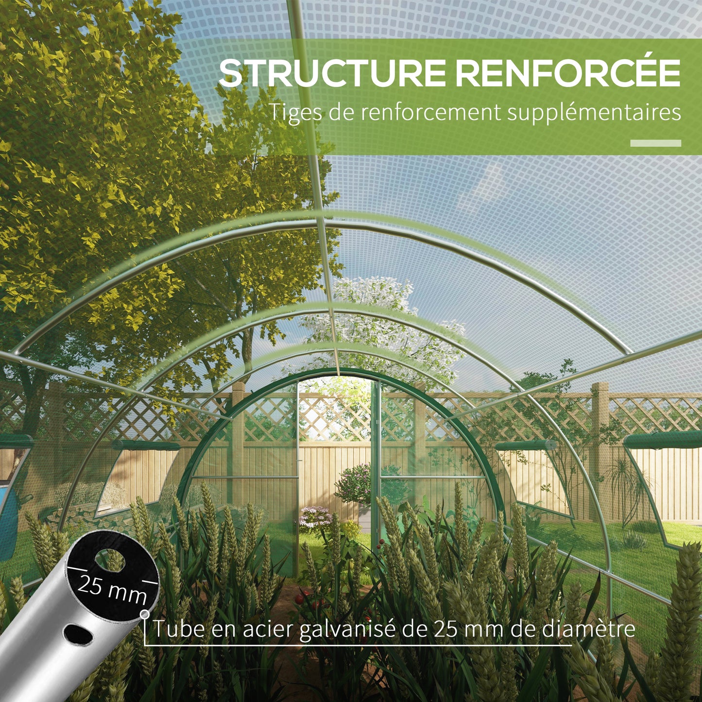 kassen tunnel – serre – kas – tuinserre – groentetent – groen – gegalvaniseerd ijzer frame – 18 m² met ventilatieramen en draaideuren