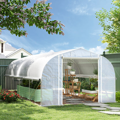 Kasje – Kweekkas – Broeikas – Tuinkas – Foliekas – 6x3x2 m – UV-bestendige PE-folie – Gegalvaniseerd Stalen Frame