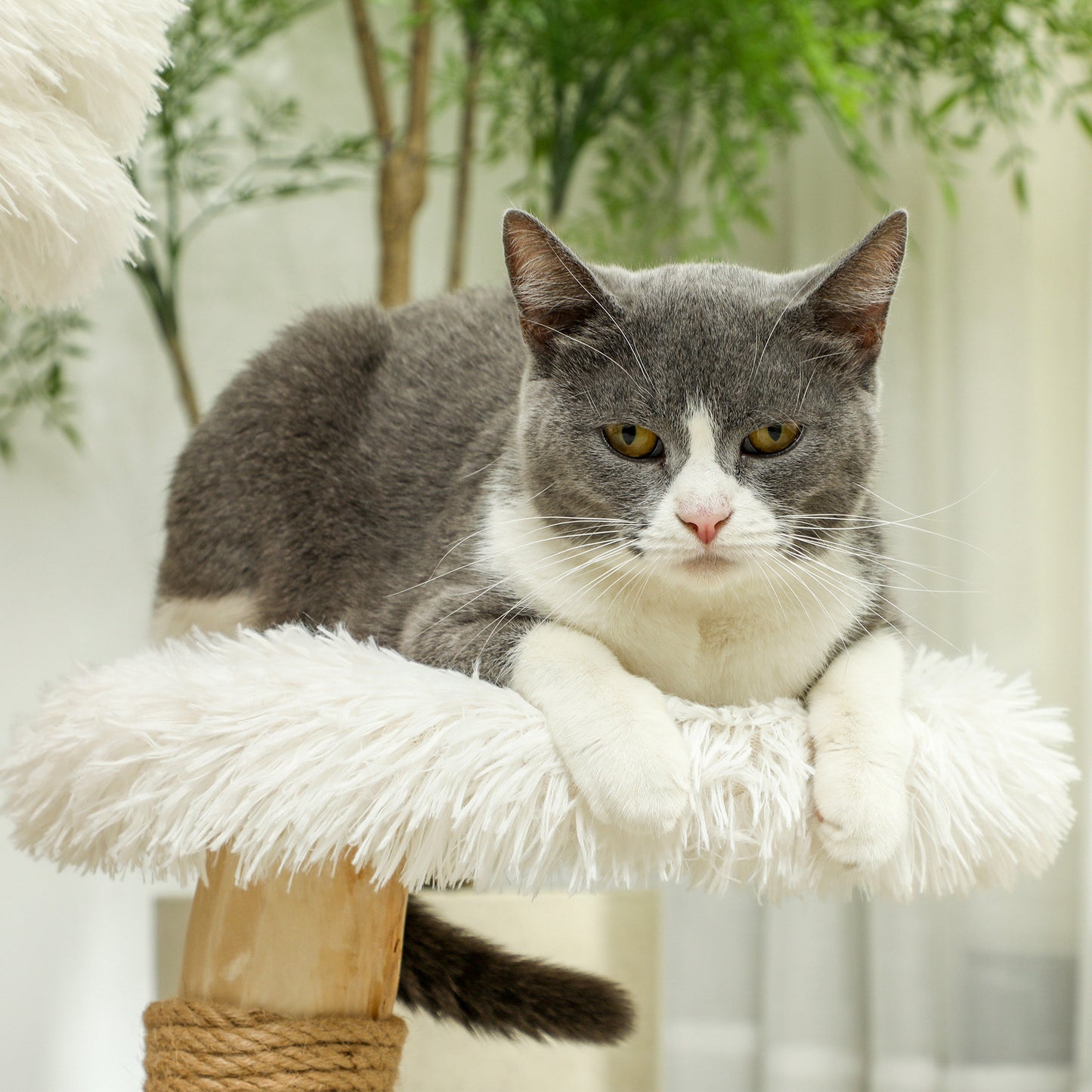 Kattenkrabpaal – Krabpaal – Kattenboom – Krabmeubel – Kattenpaal – Compact 61,5 cm Hoog – Wasbaar Pluche Kattenbed