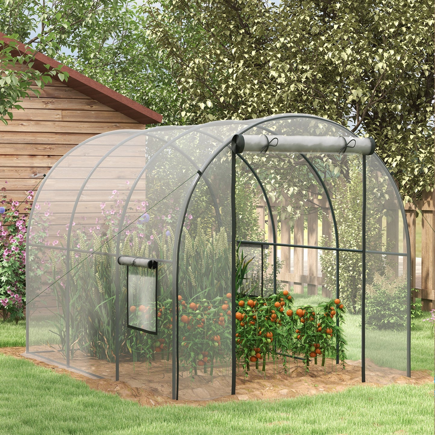 Tuinkas – Kweekkas – Serre – Plantenkas – Groentekas – Transparant – Versterkt Stalen Frame – 6 m² Oppervlakte