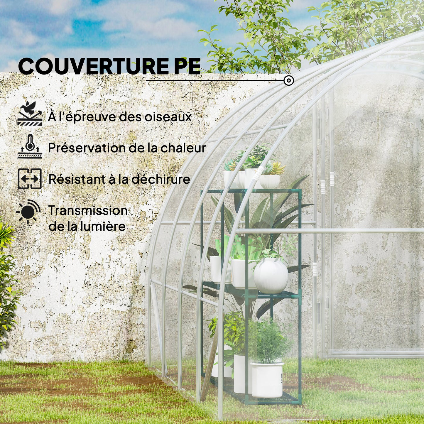 Tuinkas – Kweekkas – Moestuin Kas – Plantenkas – Serre – Transparant – 12 m² Ruimte – UV-bestendig PE-materiaal